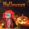 Cross-Border Popular Halloween Vampire Cat and Dog Costumes, Atmospheric Magic Witch Cloaks, Funny Cat and Dog Cloaks