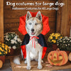 Cross-Border Popular Halloween Vampire Cat and Dog Costumes, Atmospheric Magic Witch Cloaks, Funny Cat and Dog Cloaks